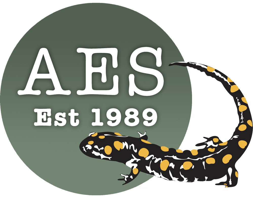 AES National